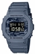 Casio G-Shock Classic 5600 Series Blue Digital Sports Watch DW5600CA-2
