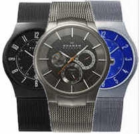 Skagen Titanium